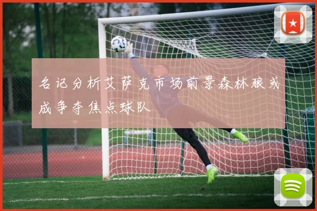 名记分析艾萨克市场前景森林狼或成争夺焦点球队